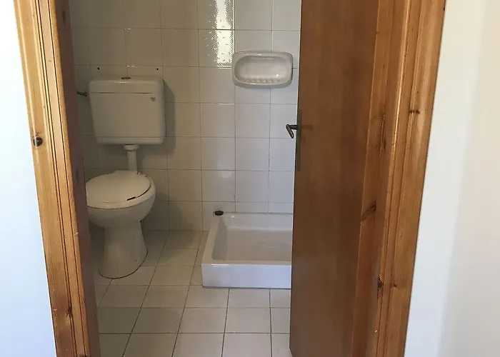 Alexandros 拉加纳斯